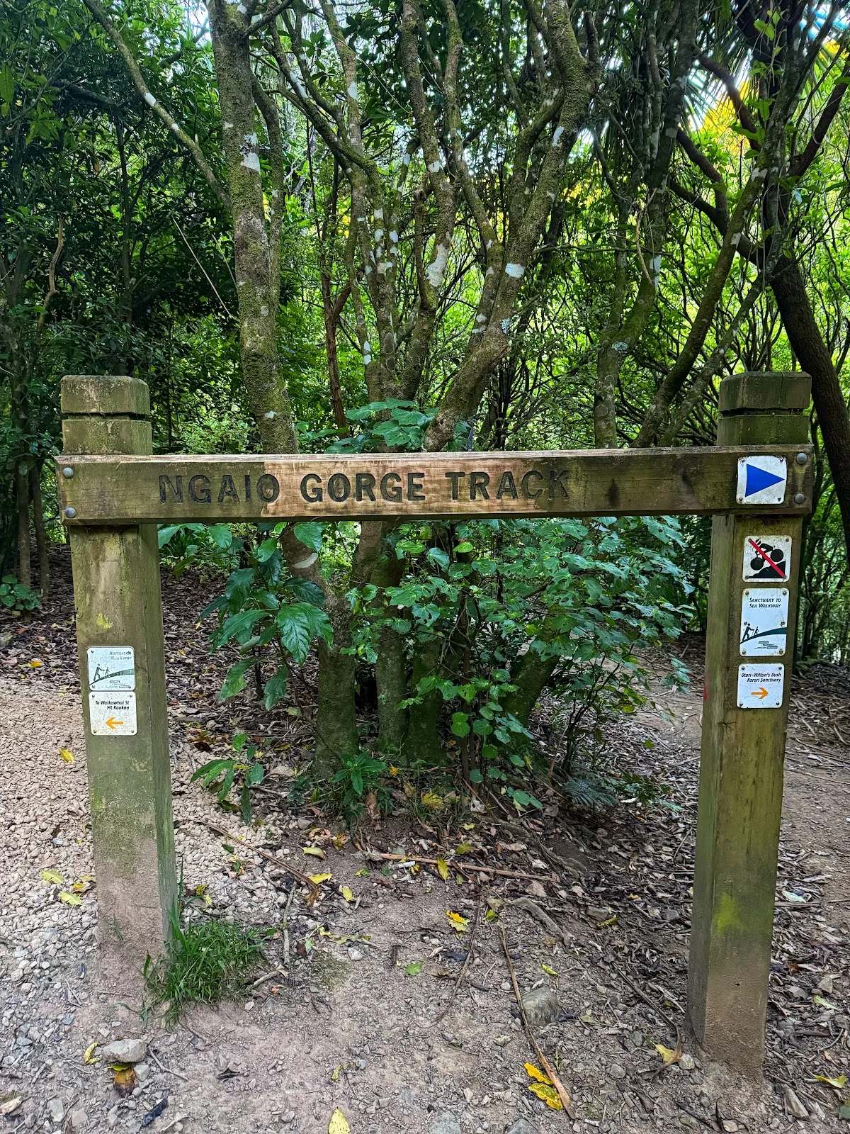 Trelissick Park — photo 3