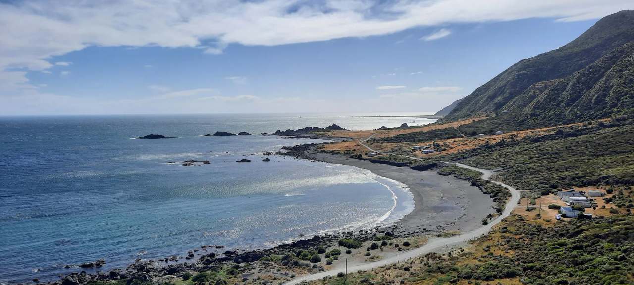 Zozo Travel Limited- Tours of Wellington. Scenic, Winery, Brewery and Foodie Tours — photo 1