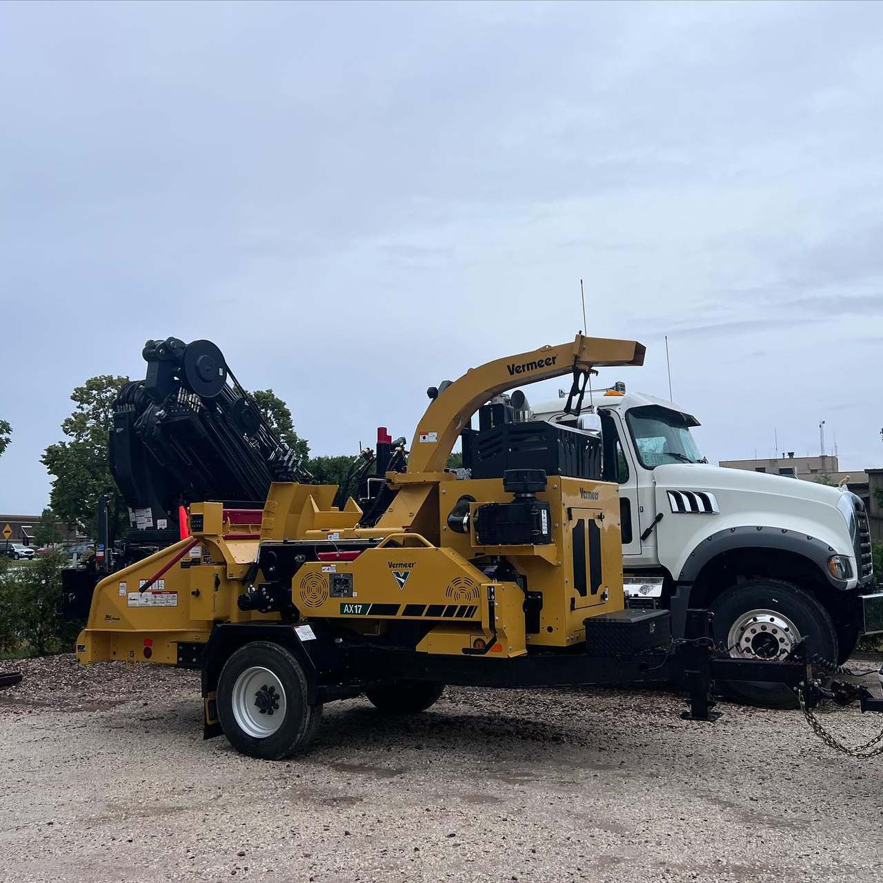 Jr's Tree Service — photo 3
