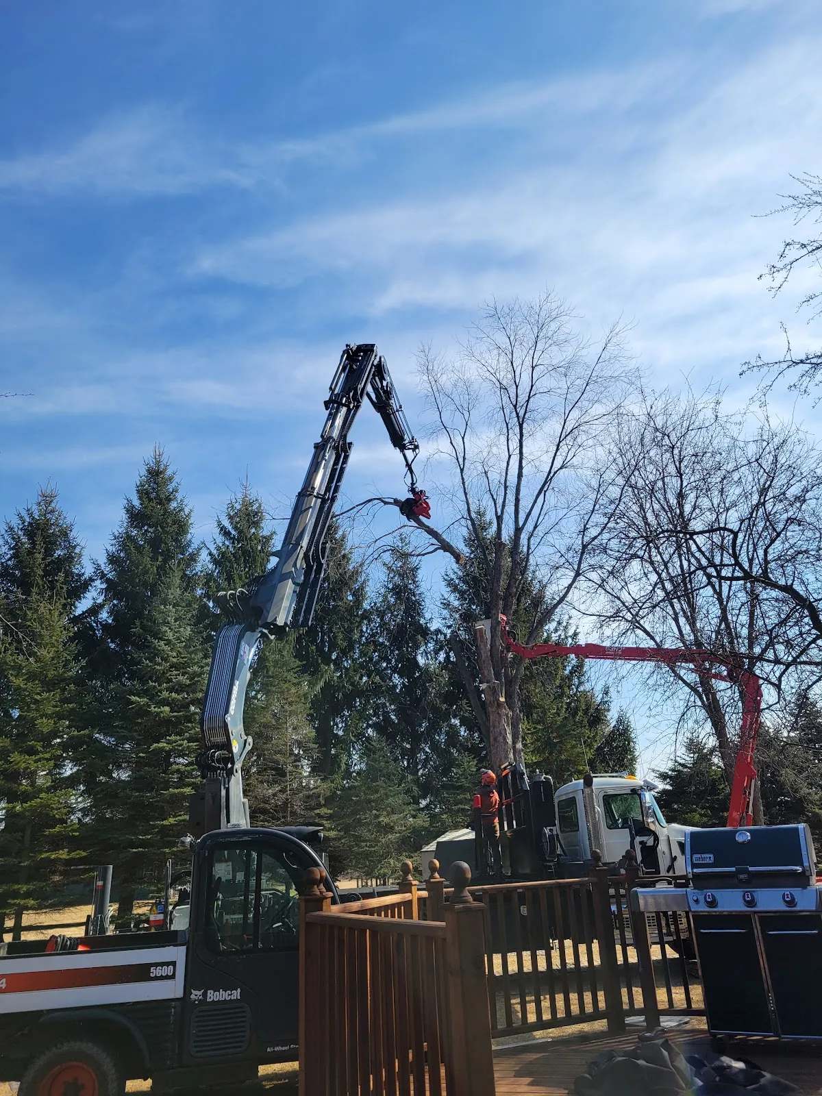 Jr's Tree Service — photo 2