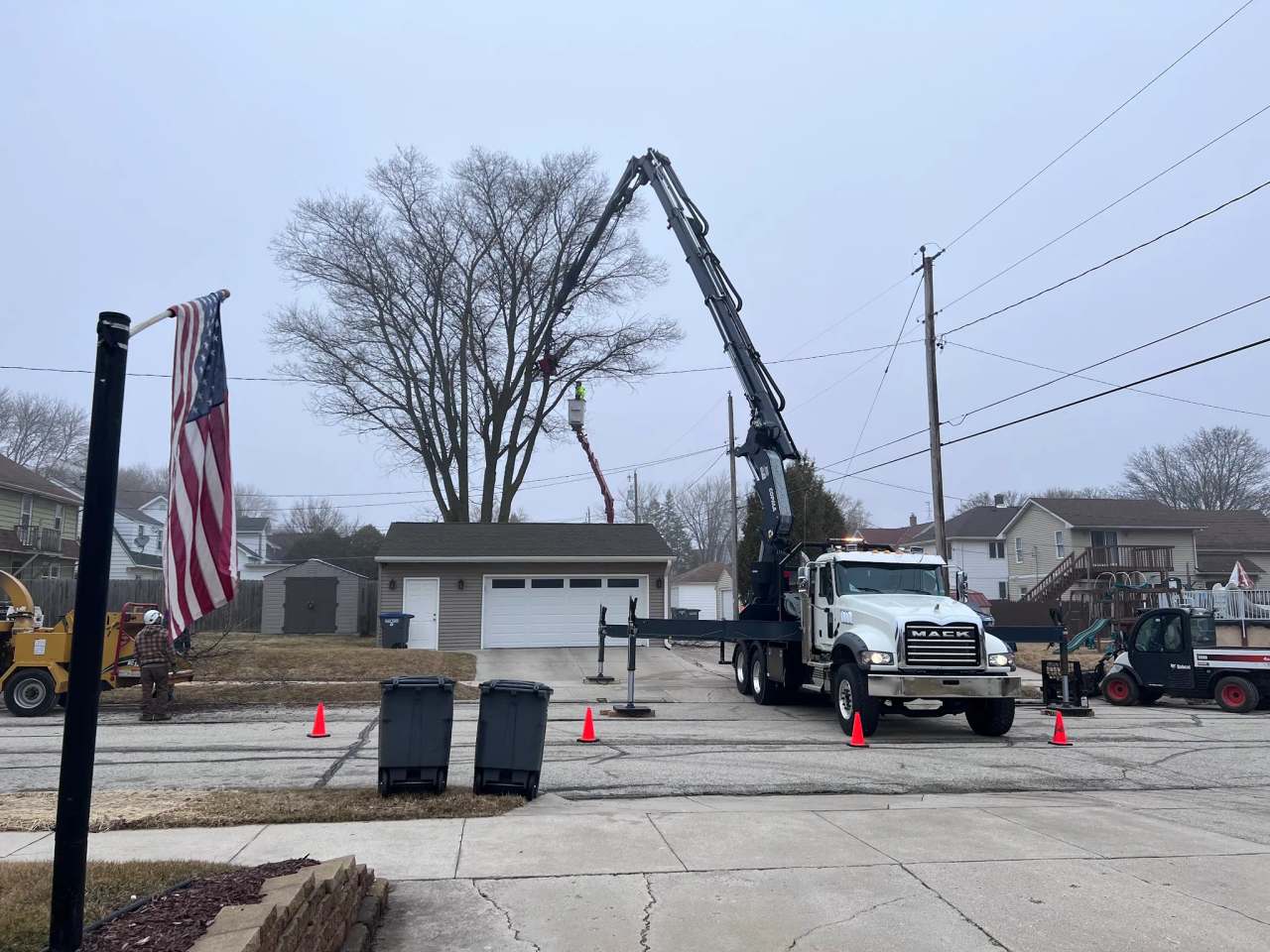 Jr's Tree Service — photo 1