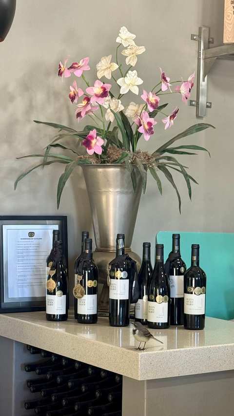 Kleinhoekkloof Wines — photo 2