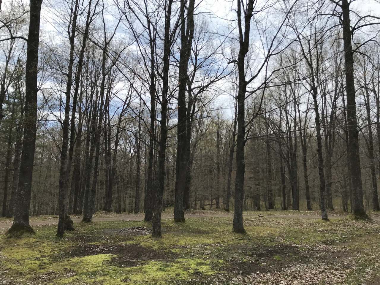 Chequamegon Waters Dispersed Recreation Area — photo 1