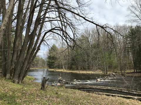 Chequamegon Waters Dispersed Recreation Area — photo 3