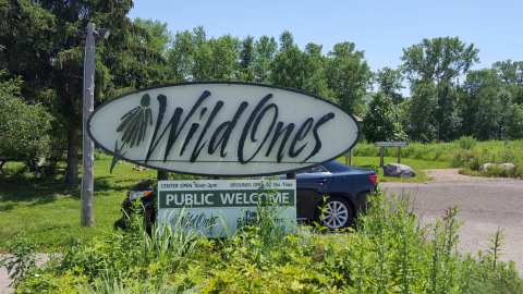 Wild Ones Natural Landscapers — photo 2