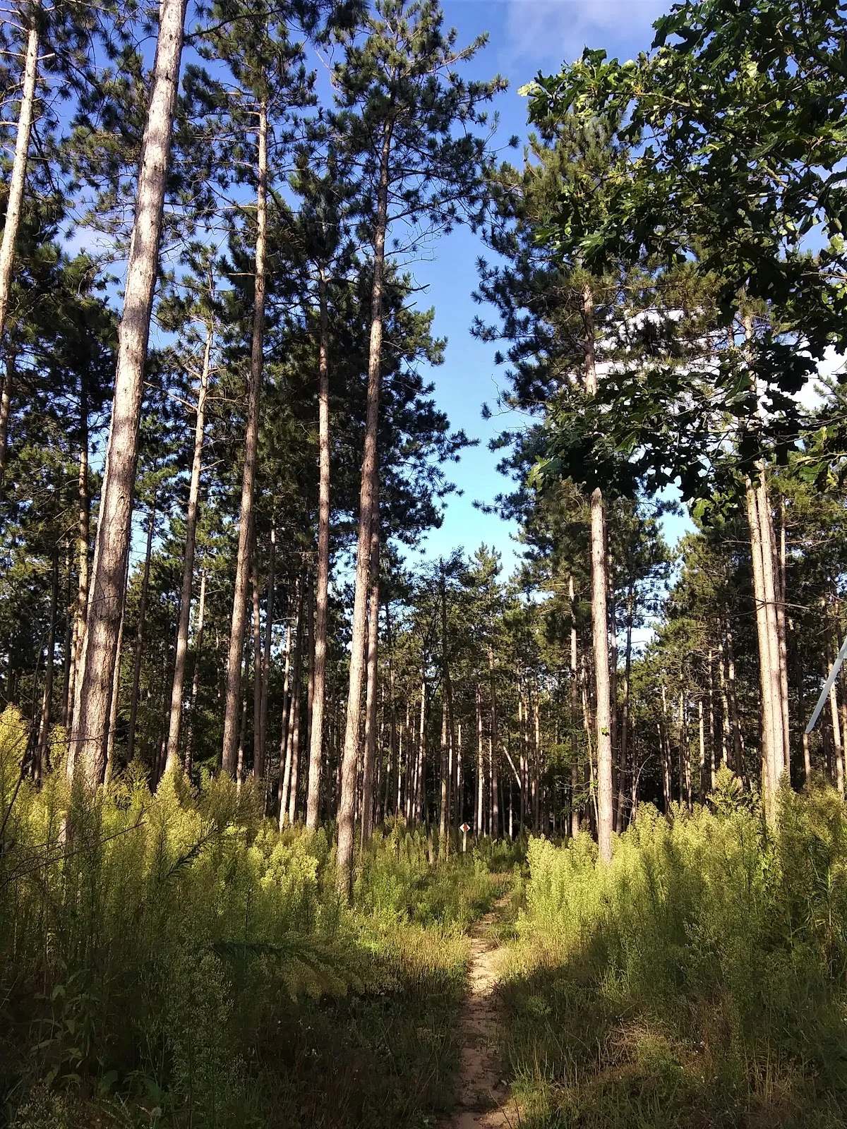 Kettle Moraine State Forest — photo 6