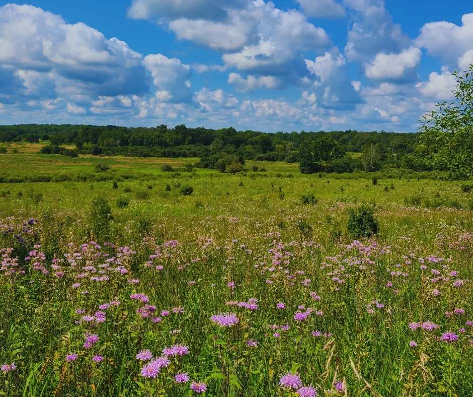 Waukesha County Land Conservancy — photo 1