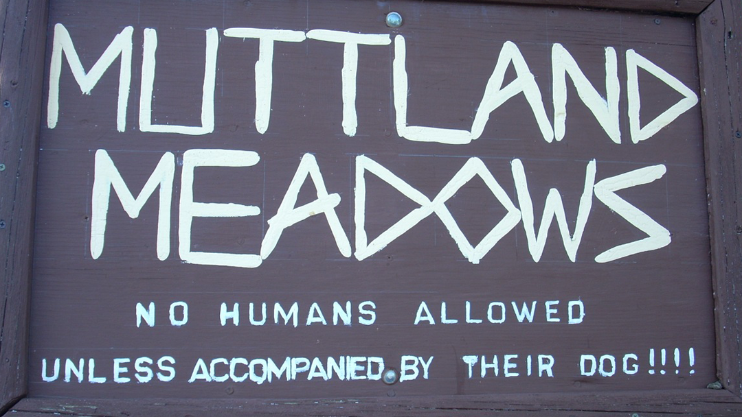 Muttland Meadows — photo 1