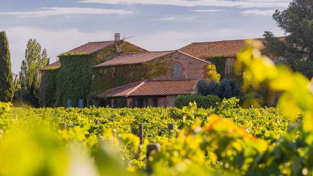 Domaine Viticole à Canet en Roussillon- Mas Baux