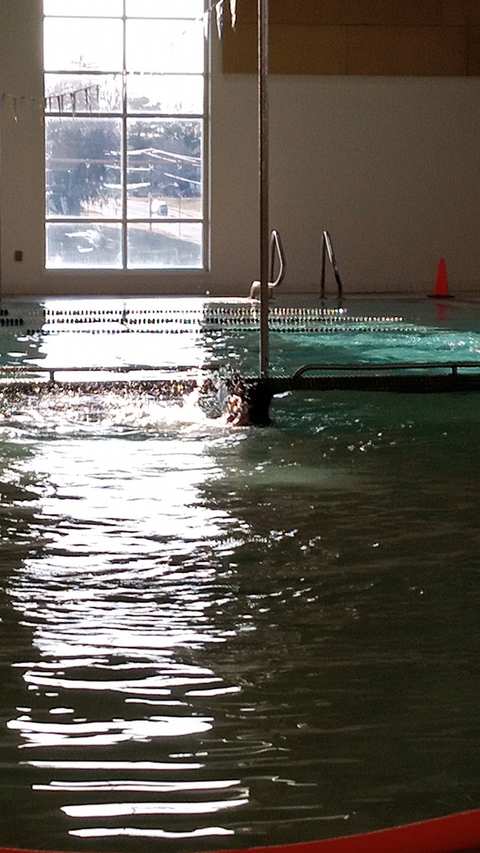Bigley Pool — photo 3