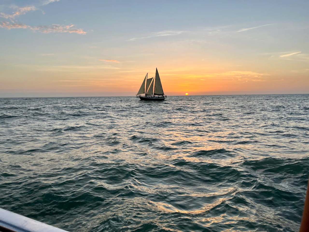 Little Toot Dolphin Adventure — photo 3