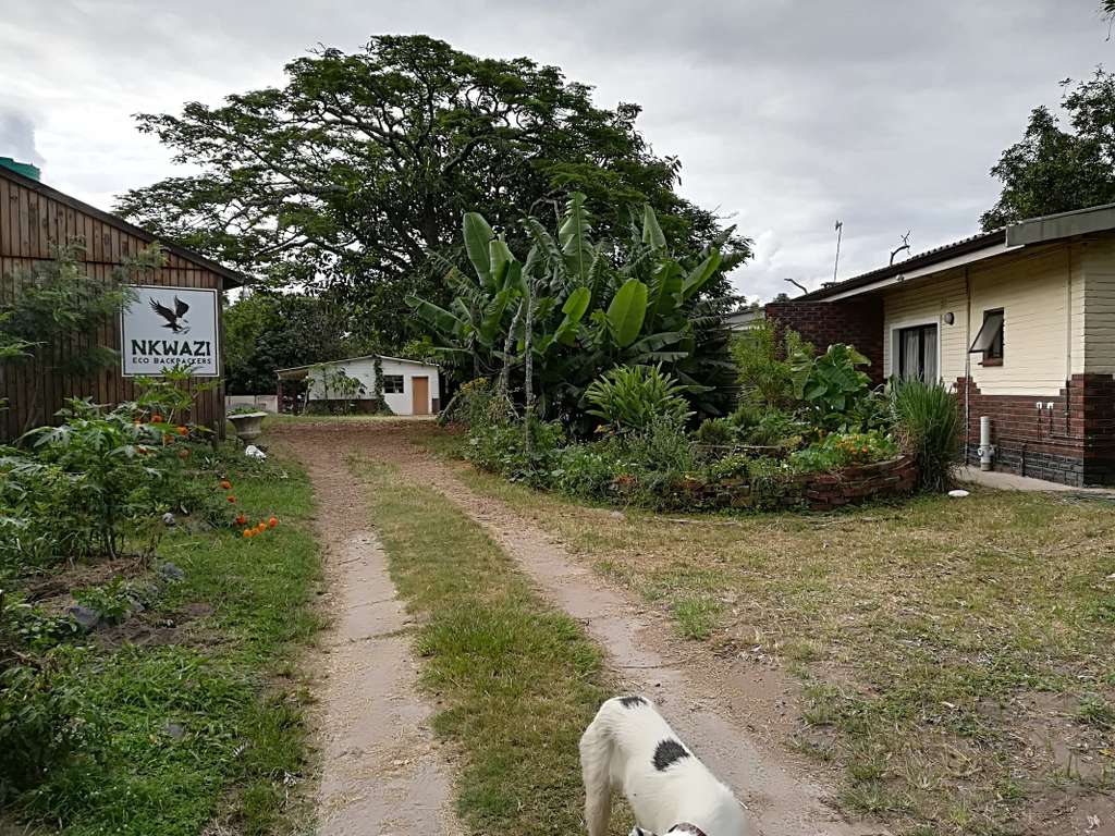 Nkwazi Eco Backpackers