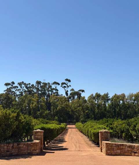 Vine Root Tours — photo 3