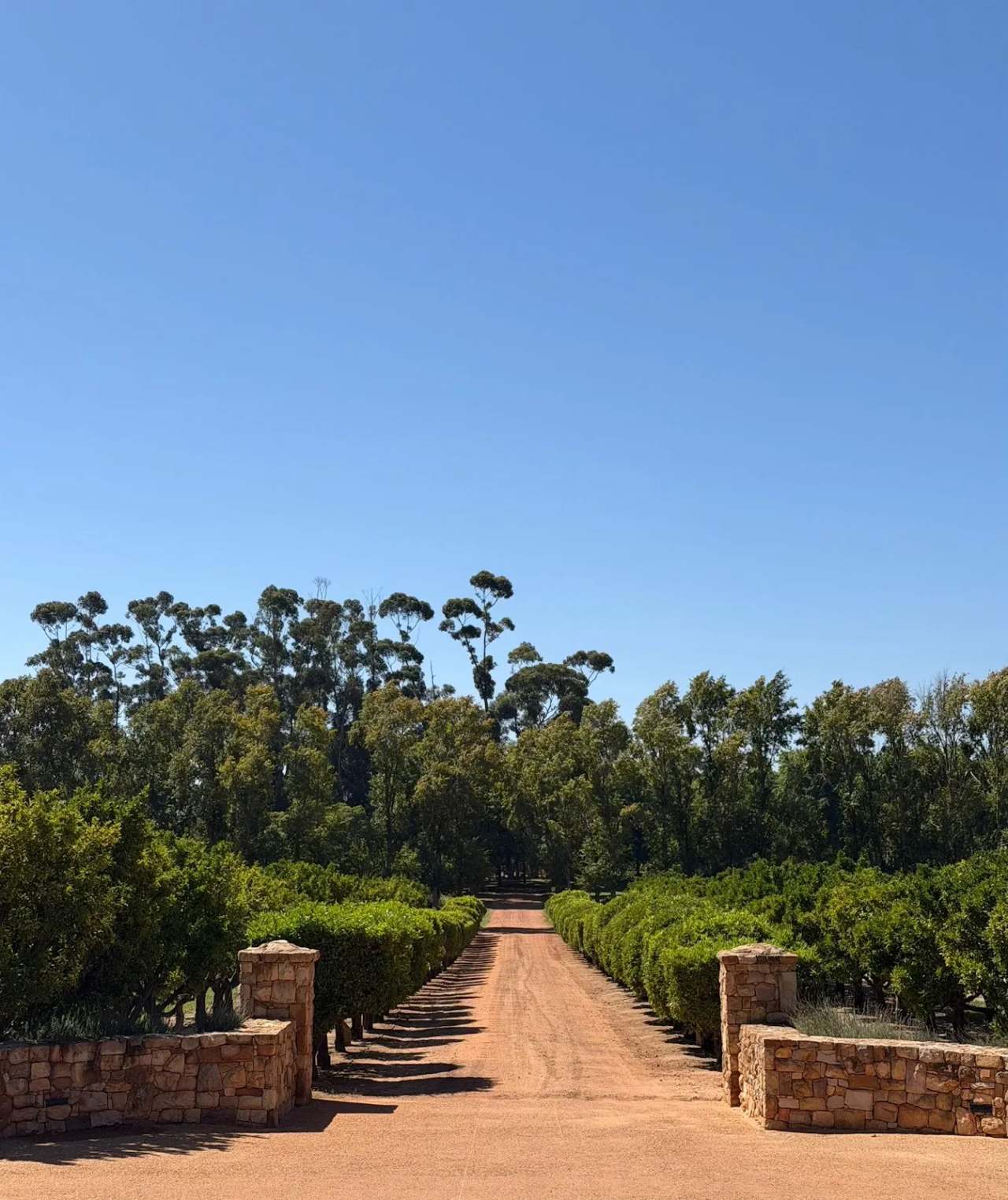 Vine Root Tours — photo 3