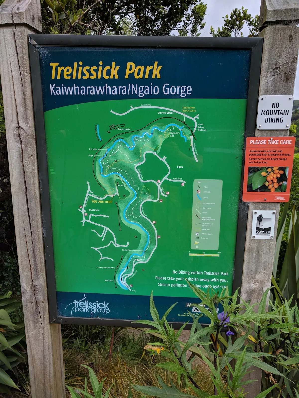 Trelissick Park — photo 3