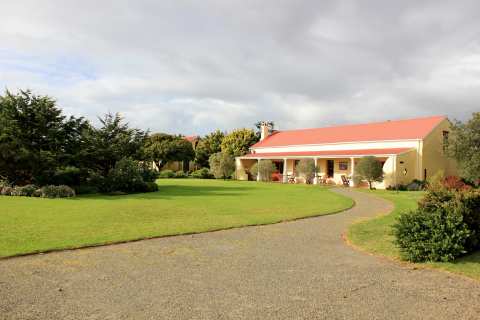 Strandveld Vineyards — photo 2