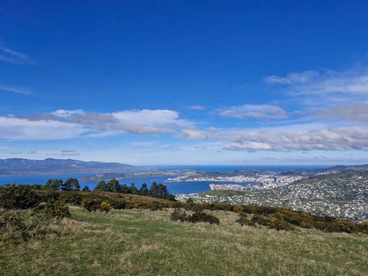 Mt Kaukau Summit Hike — Simla Crescent Trailhead — photo 1