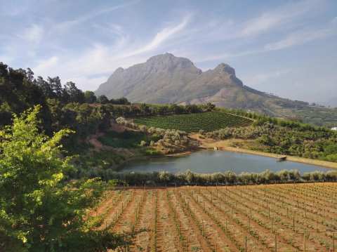 Camino Wine Tours — photo 2