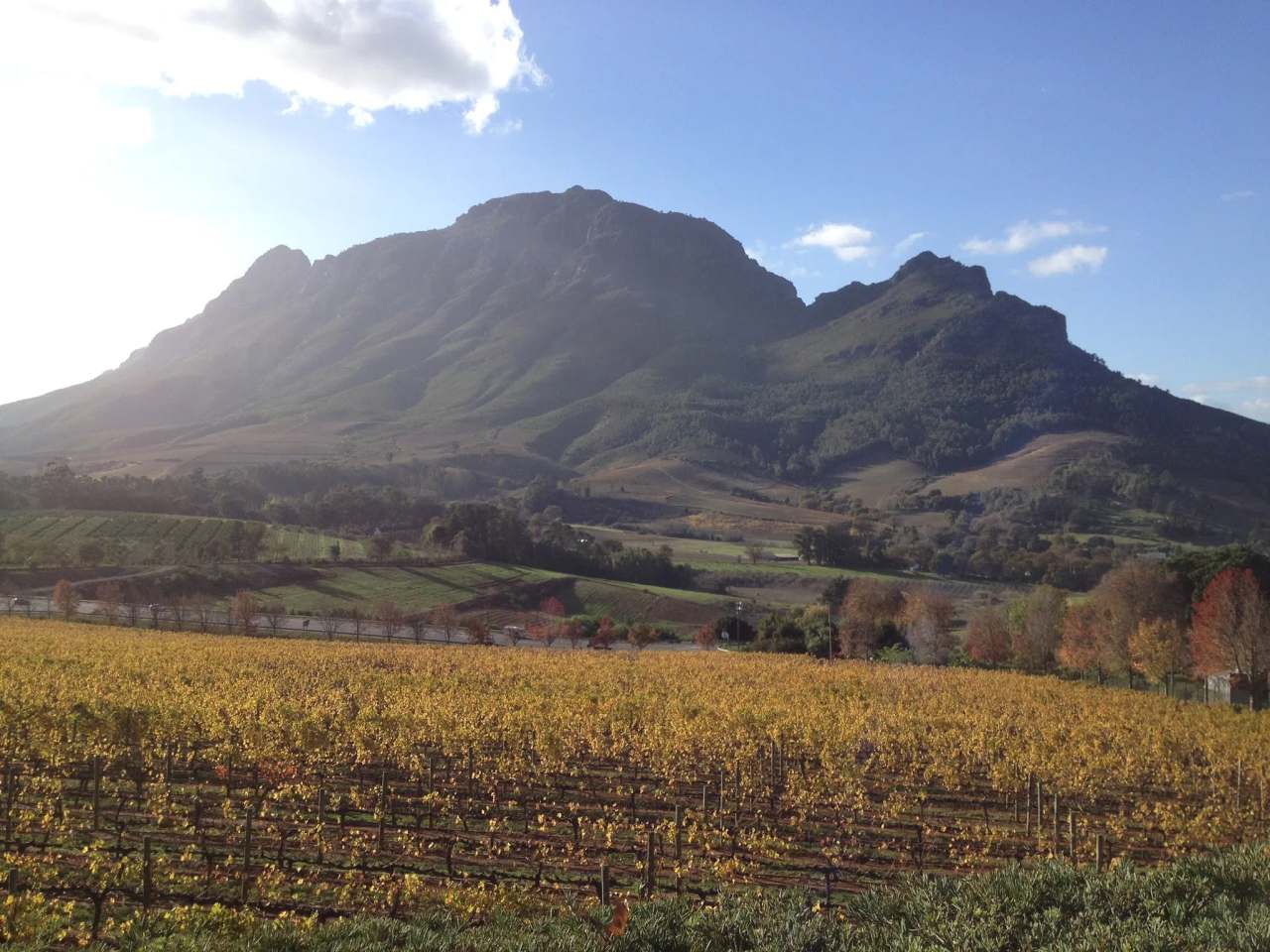 Camino Wine Tours — photo 1