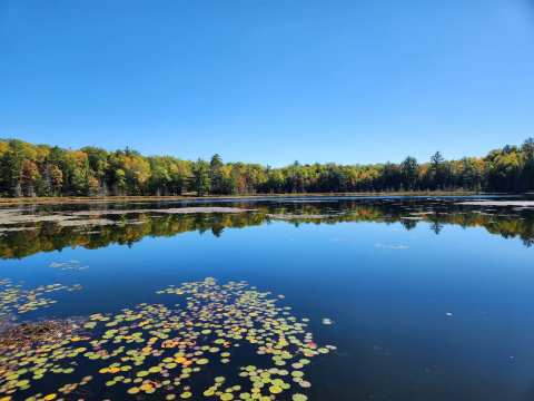 Land O'Lakes Bike Trail — photo 2