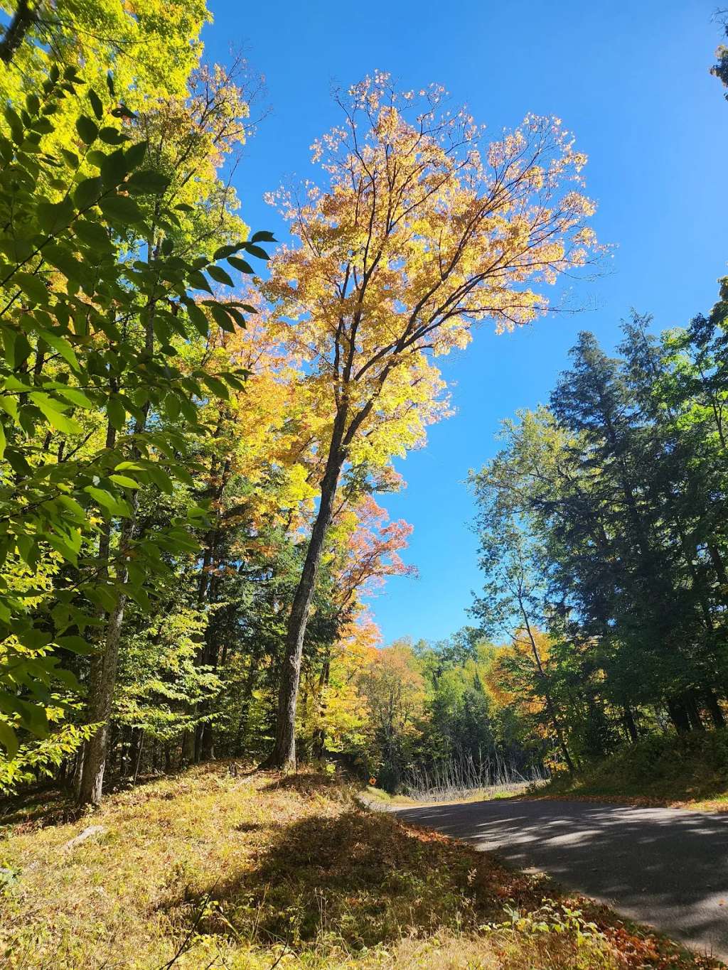 Land O'Lakes Bike Trail