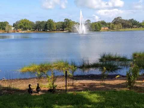 Crest Lake Park — photo 3