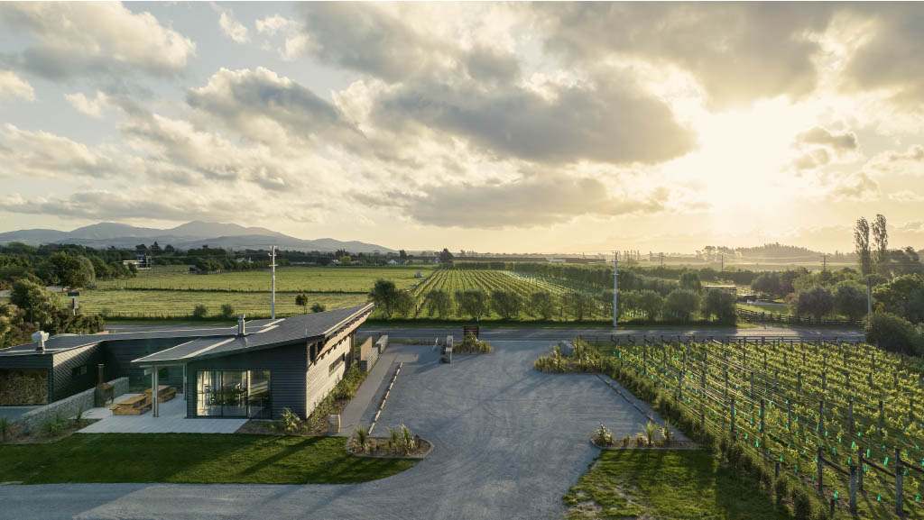 Nga Waka Vineyard — photo 1