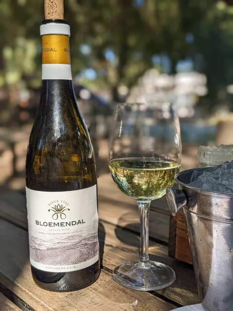 Bloemendal Wine Estate — photo 2