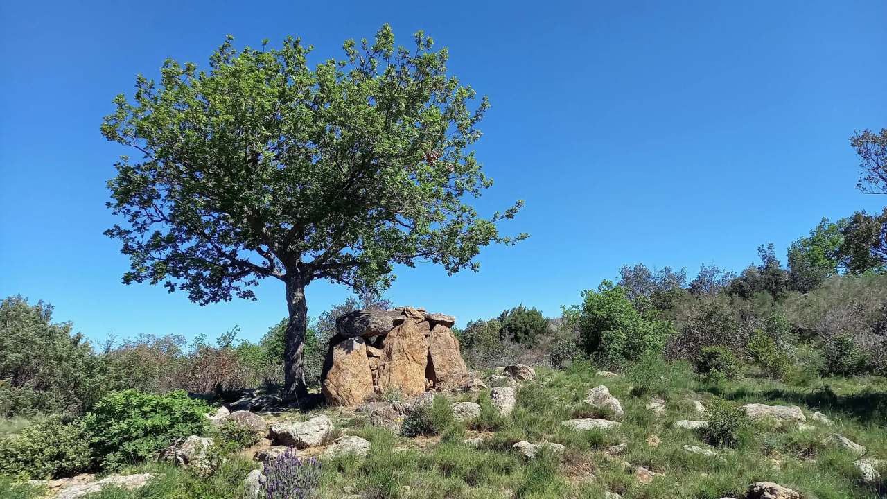 Dolmen de la Rouyre à Ansignan — photo 1
