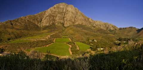 Keermont Vineyards — photo 3
