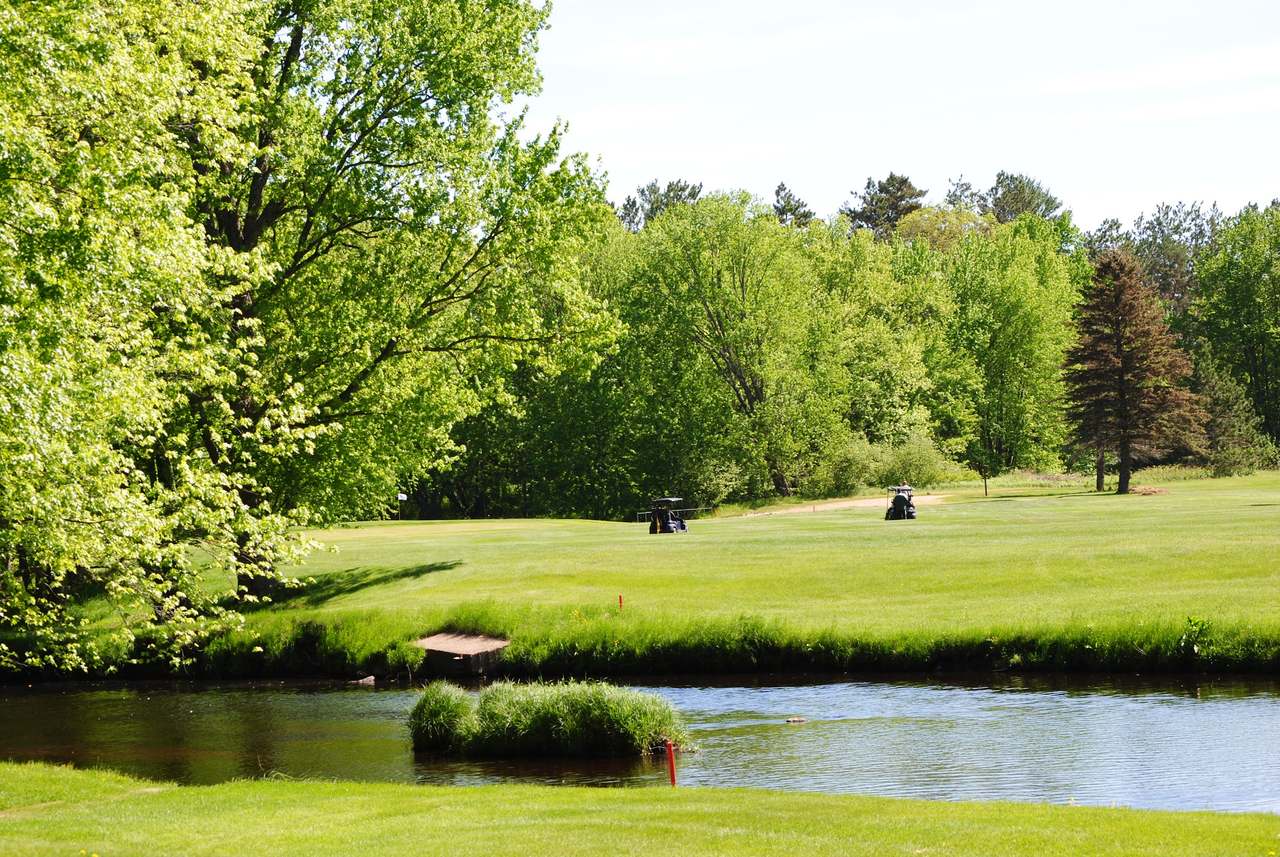 X to C's Riverview Golf Course — photo 1