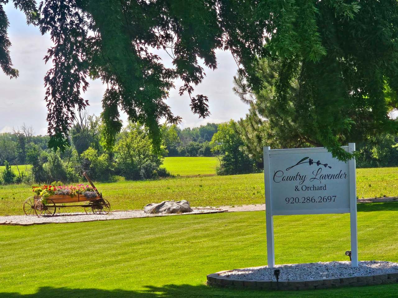 Country Lavender & Orchard, LLC — photo 2