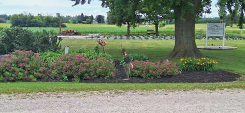 Country Lavender & Orchard, LLC — photo 3