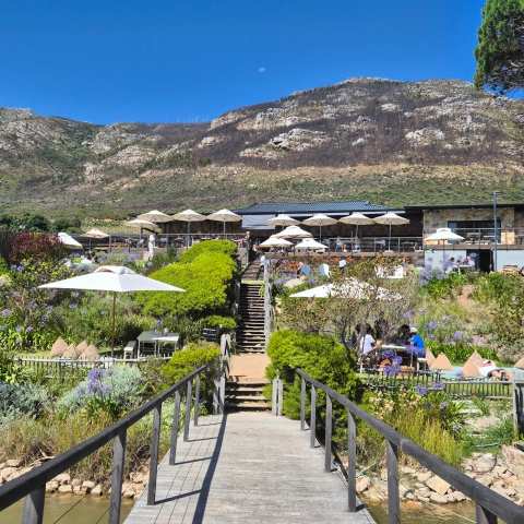Cape Point Vineyards — photo 2