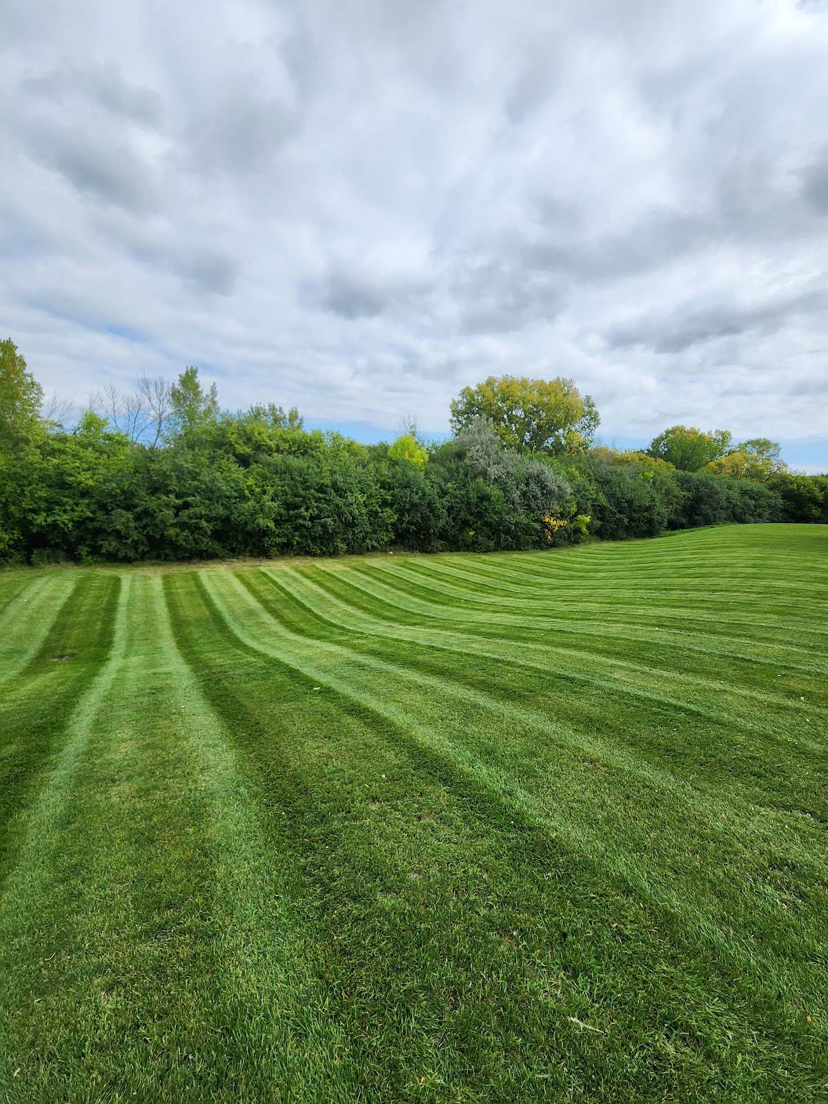 Quality Landscape and Lawn Care — photo 3