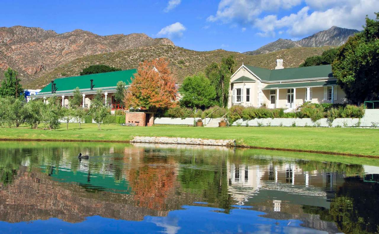 Montagu Vines Guesthouse — photo 1