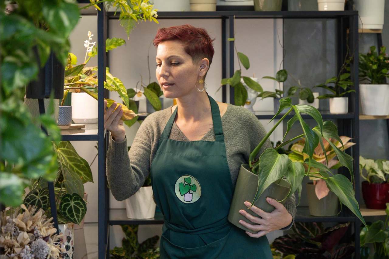 Les Plantes d'Amélie — photo 3