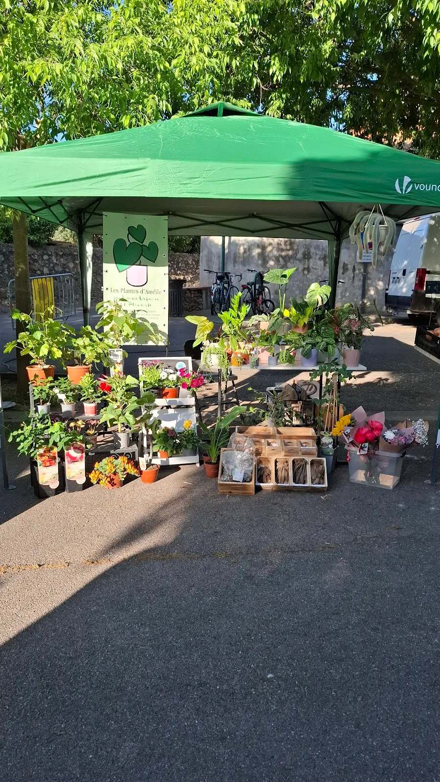 Les Plantes d'Amélie — photo 2