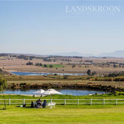 Landskroon Wines — photo 3