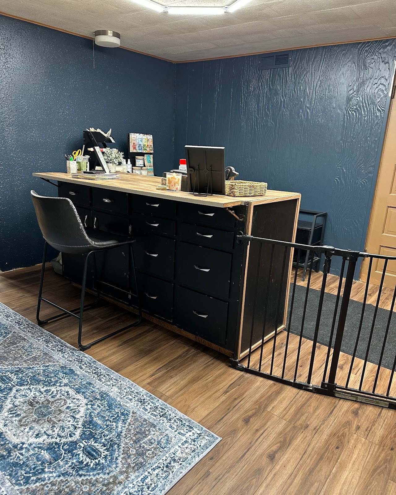Paisley Pet Salon — photo 1