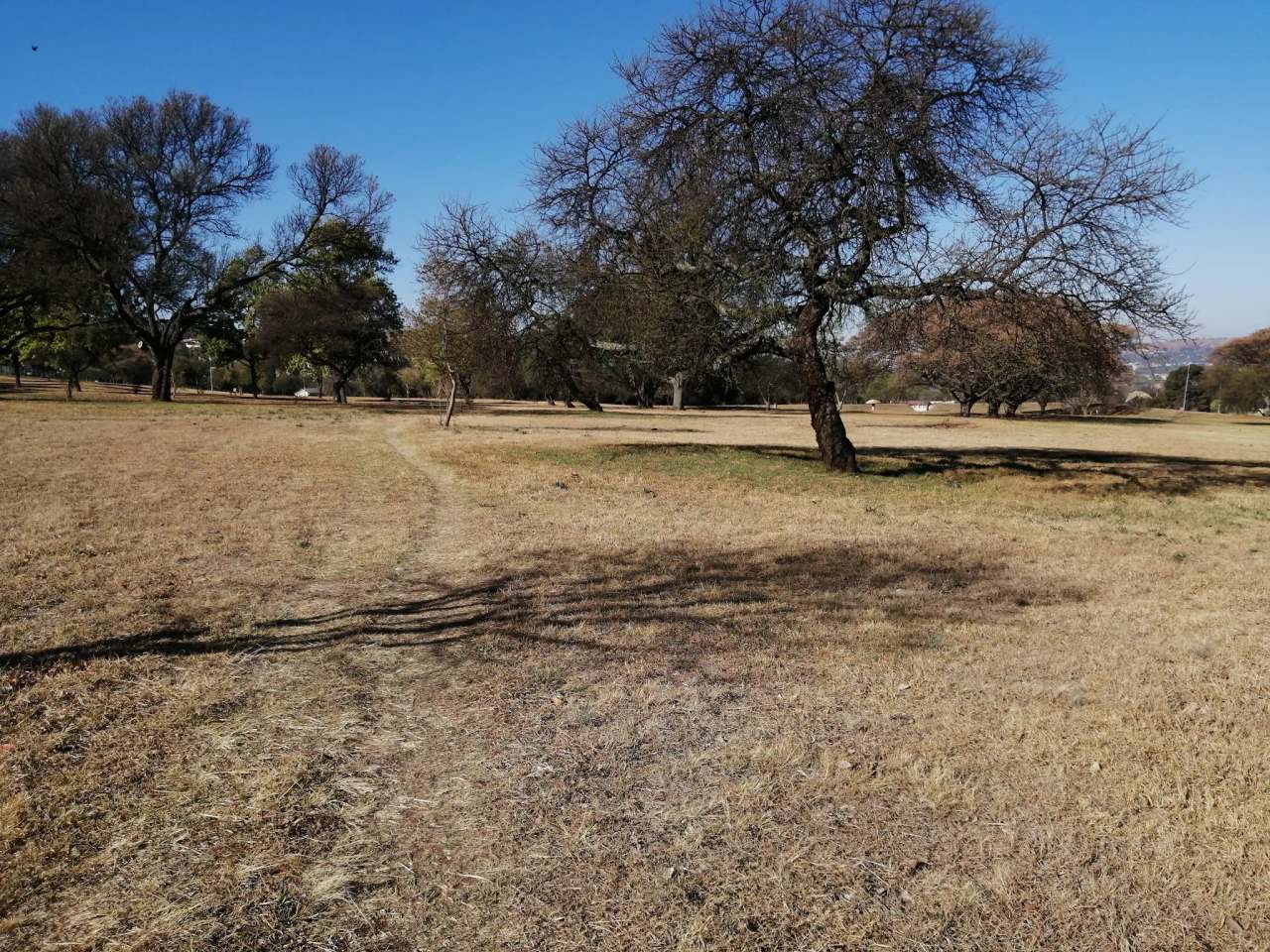 Bezuidenhout Park (2nd Ave) — photo 1