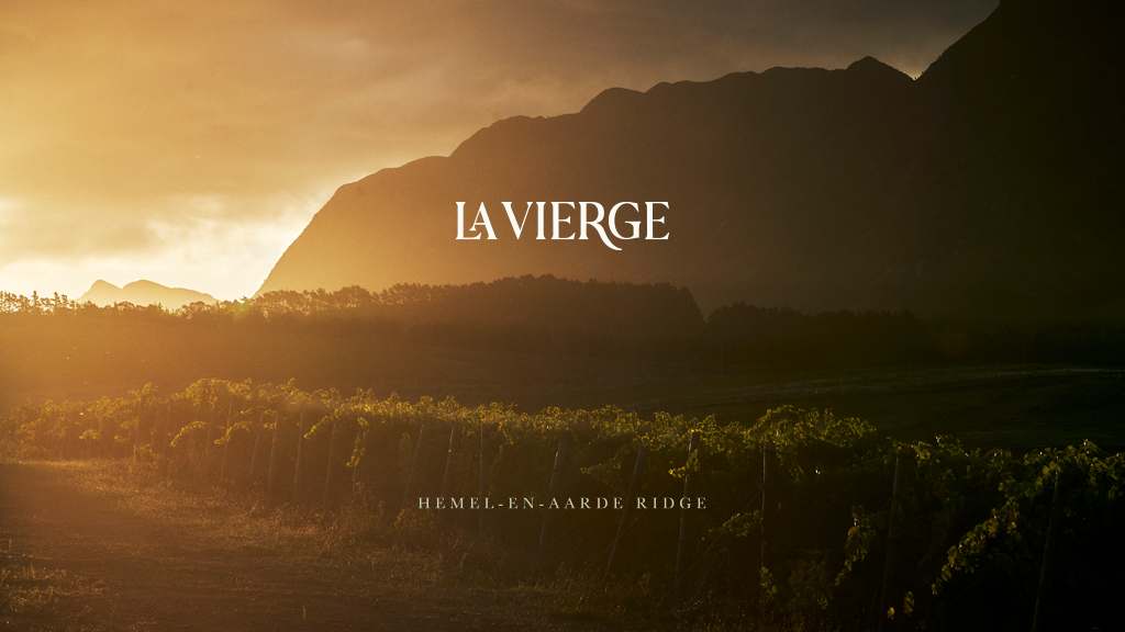 La Vierge Wines — photo 1