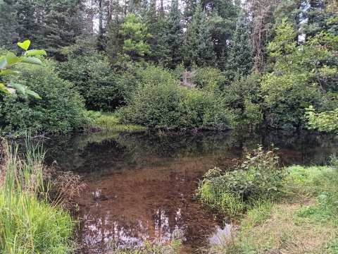 Wisconsin River Headwaters Historical Wayside — photo 2