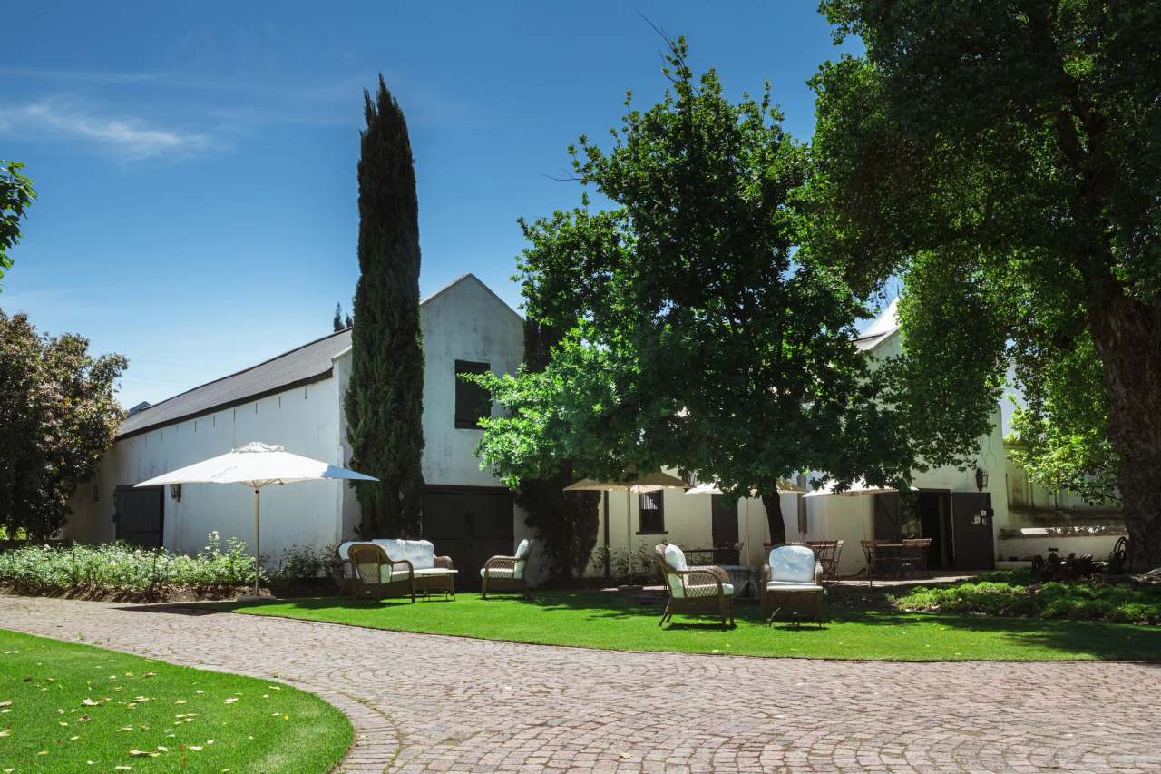 Bosman Family Vineyards — photo 2