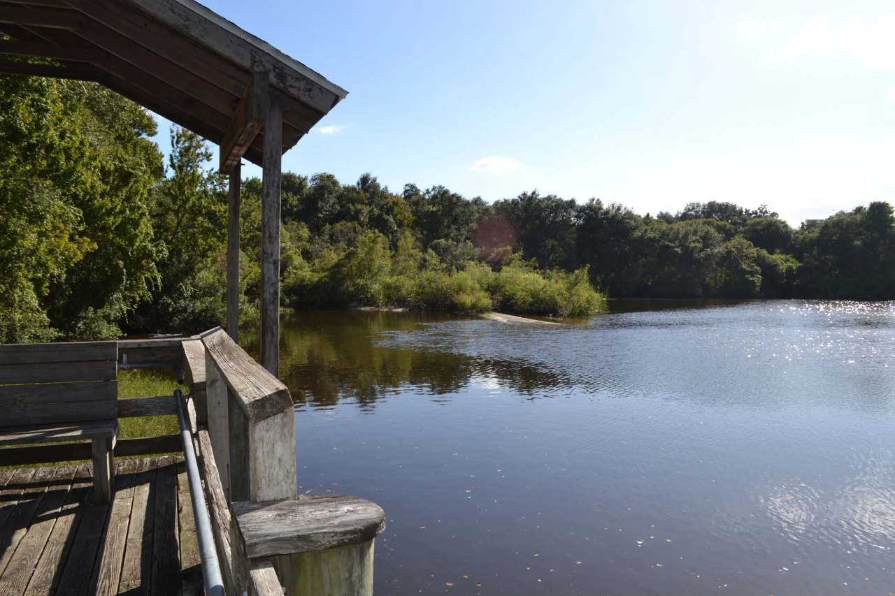 Moccasin Lake Nature Park — photo 1