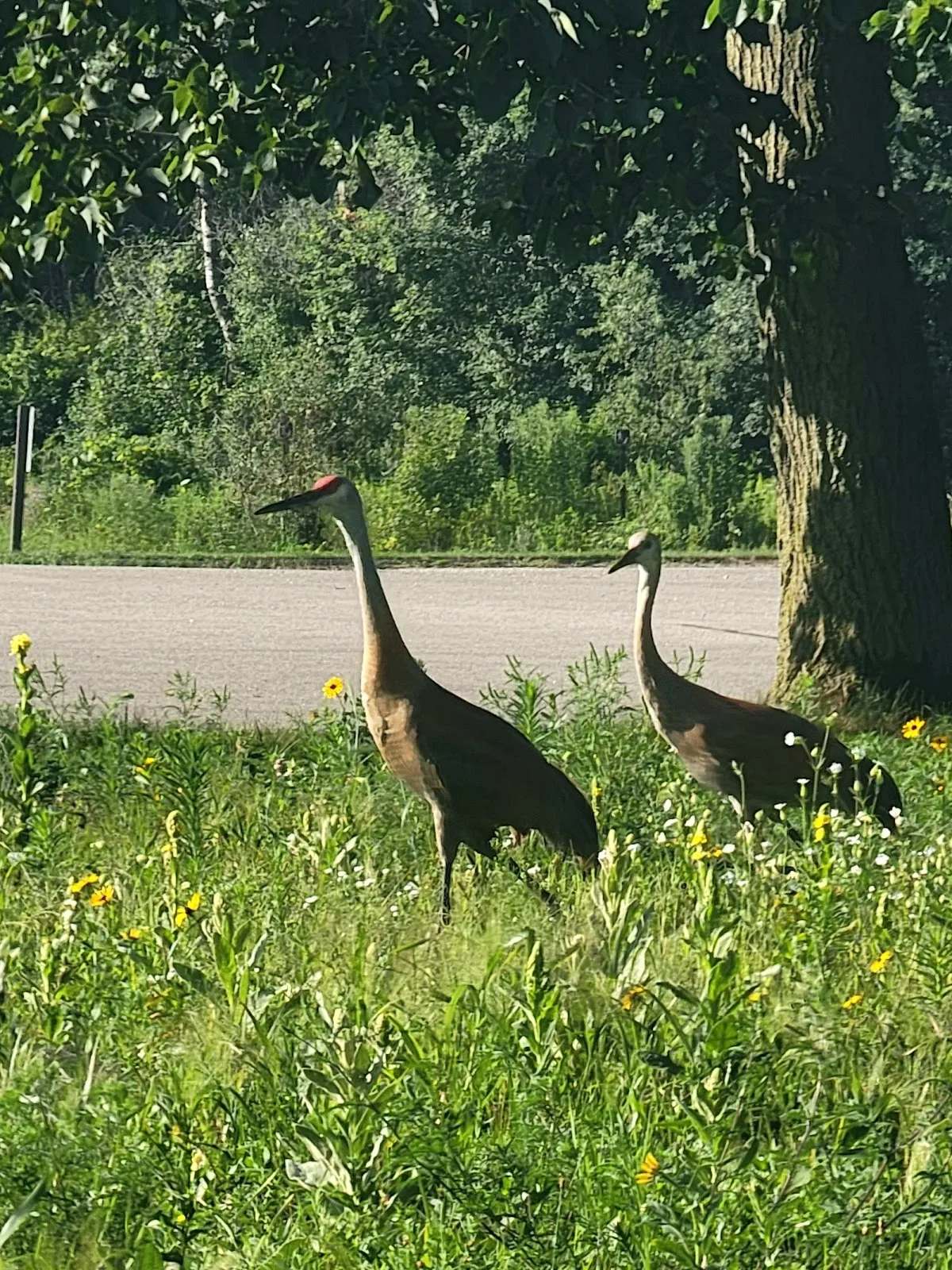 Ottawa Lake Campground — photo 7