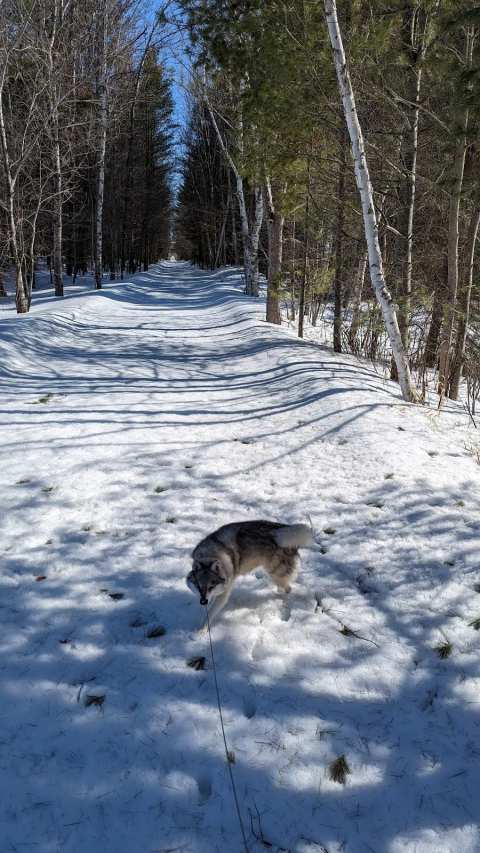 Three Eagle Trail — photo 3