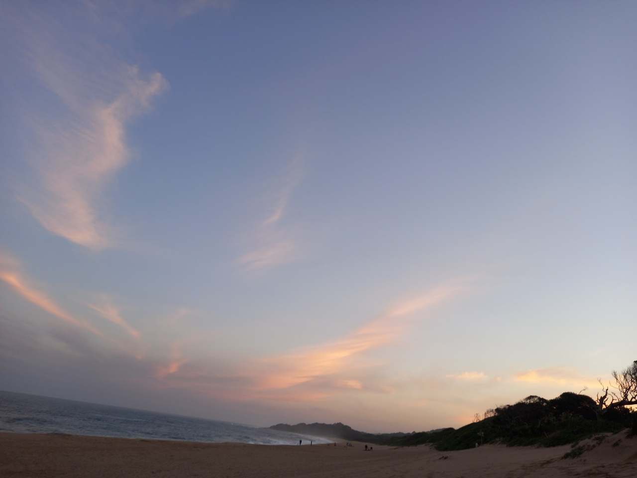 Zinkwazi Forest Trails — photo 4