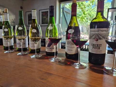 Welbedacht Wine Estate/Schalk Burger & Sons — photo 2