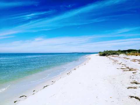 Caladesi Island State Park — photo 2